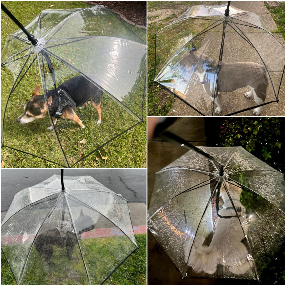 Dog Umbrella Small Breed, Clear Dog Umbrella Leash for Small Dogs, Keeps Dogs Dry Walking Rain, Doggie Rain Umbrella with Adjustable Leash, Self-Assembly