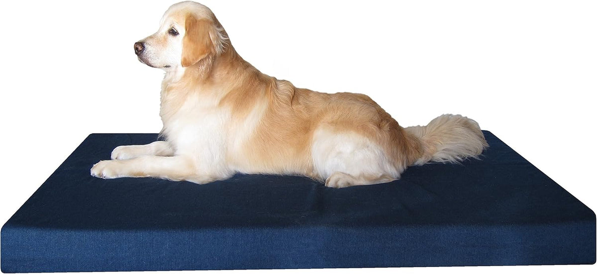 Luxury XXL Orthopedic Memory Foam Dog Bed for Extra Large Dogs with Durable Waterproof Internal Case, Removable Washable Denim Cover and Bonus Pet Bed Spare Cover, 55X37X4 Inches, Blue