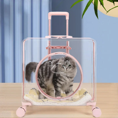 New Pet Trolley Case Transparent