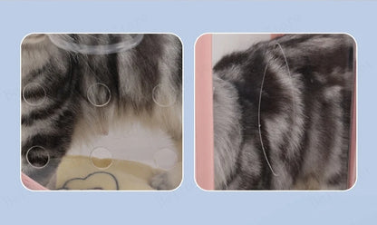New Pet Trolley Case Transparent