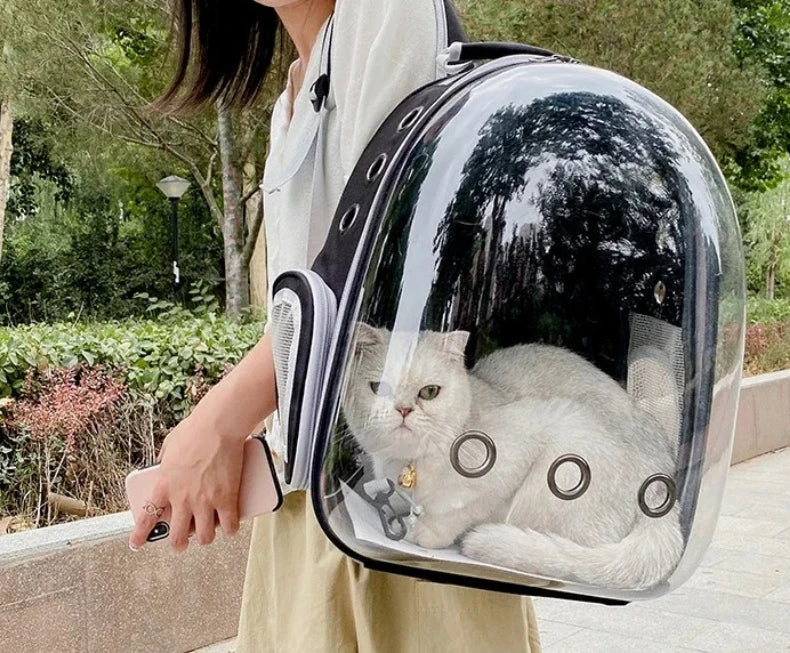 Transparent Space Capsule Pet Backpack Carrier