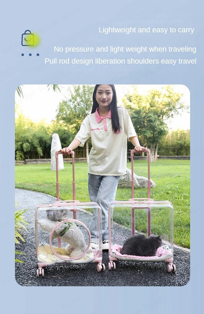 New Pet Trolley Case Transparent