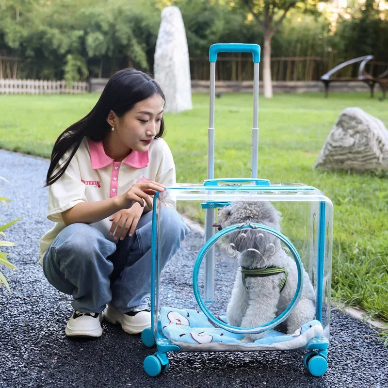 New Pet Trolley Case Transparent