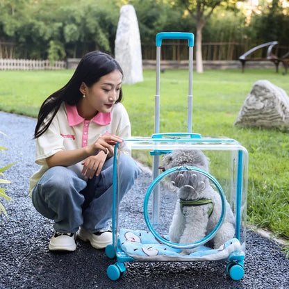 New Pet Trolley Case Transparent