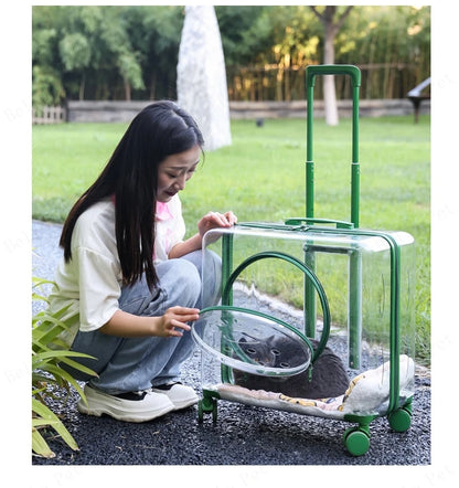 New Pet Trolley Case Transparent