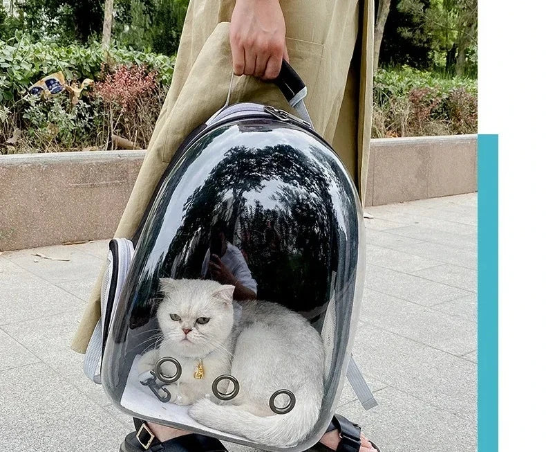 Transparent Space Capsule Pet Backpack Carrier
