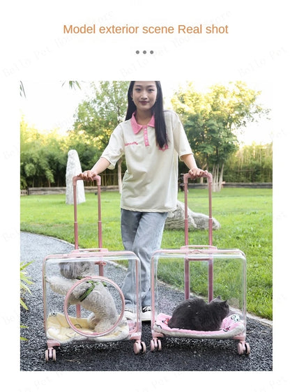 New Pet Trolley Case Transparent