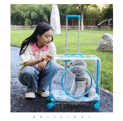 New Pet Trolley Case Transparent